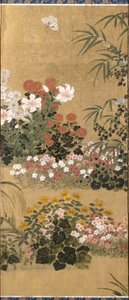 Blumen und Schmetterlinge