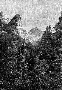 Madeira, Portugal, 1895 von Taylor