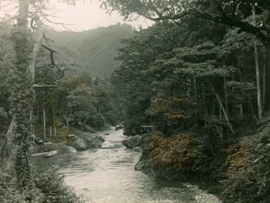 Herbstwald in der Yamanaka-Region, um 1900 - 1915 von Teijiro Takagi