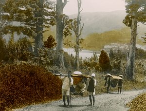 Japanisches Mädchen in einem Kago, Hakone-Region, um 1900 - 1915 von Teijiro Takagi