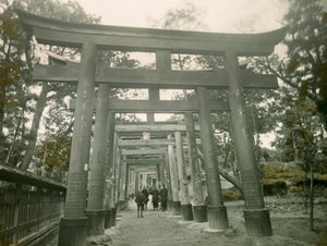 Torii im Inari-Schrein, Kyoto, um 1900 - 1915