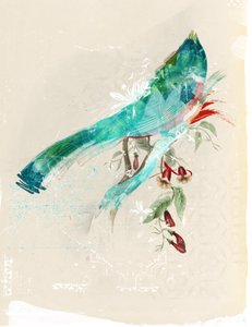 Vogelsilhouette