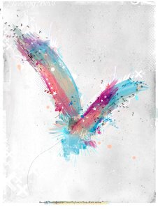 Im Flug von Teis Albers