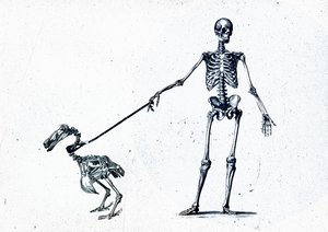 Mit meinem Dodo spazieren von Teis Albers