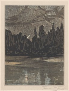 Nächtliche Landschaft mit Zugvögeln