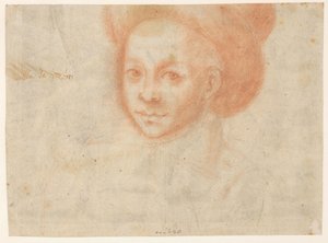 Missbrauch des Gesetzes (Litis Abusus / Der Missbrauch der Prozessführung) von Theodoor Galle