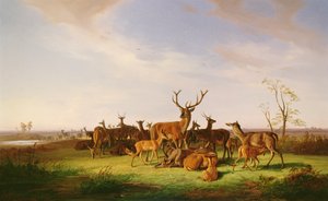 Eine Hirschherde auf einer sonnigen Weide von Theodor Julius Kiellerup