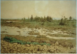 Rollende Steine, Wasser und Sträucher