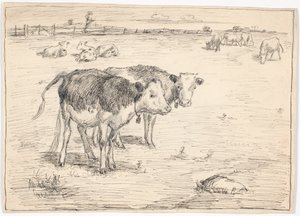 Ein paar Kälber auf "Fladen", Saltholm von Theodor Philipsen