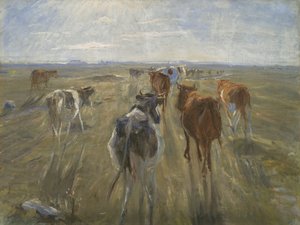 Lange Schatten. Rinder auf der Insel Saltholm von Theodor Philipsen