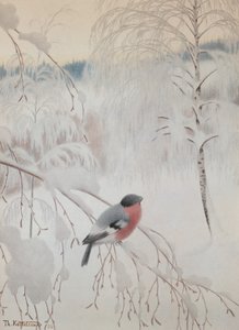Gimpel von Theodor Kittelsen