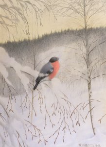 Gimpel auf frostigem Zweig