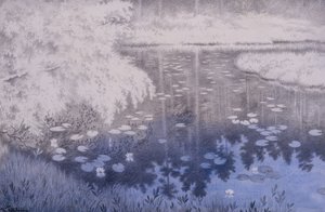 Da liegt ein Teich in Svartebudale