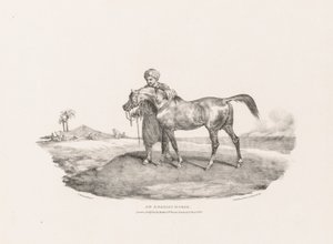 Ein arabisches Pferd von Theodore Gericault