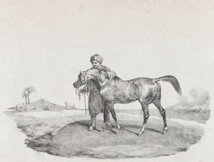 Ein arabisches Pferd von Theodore Gericault
