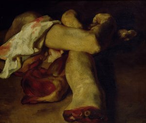 Anatomische Stücke