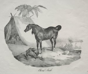 Arabisches Pferd von Theodore Gericault