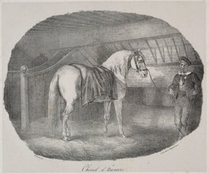 Hannoveraner Pferd von Theodore Gericault
