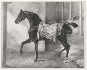Schwarzes Pferd in einem Stall angebunden von Theodore Gericault