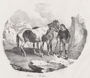 Chevaux d