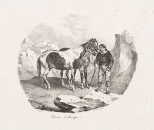 Pferde aus der Auvergne von Theodore Gericault