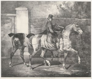 Zwei Pferde von einem Jockey geführt