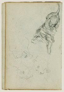 Vier Löwenstudien von Theodore Gericault