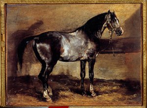 Graues Pferd am Futtertrog von Theodore Gericault