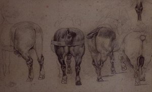 Angespannte Pferde von Theodore Gericault