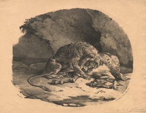 Pferd von einem Löwen verschlungen