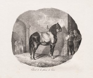 Lithographierte Studien von Pferden: Pl. 7, Pferd von der Ebene von Caen von Theodore Gericault