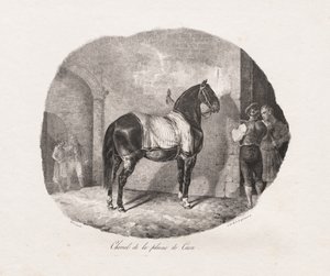 Lithografierte Studien von Pferden: Pl. 7, Pferd von der Caen-Ebene, 1822 von Theodore Gericault