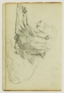 Sitzender Löwe von Theodore Gericault