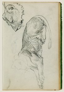 Sitzender Löwe, Kopf einer Löwin von Theodore Gericault