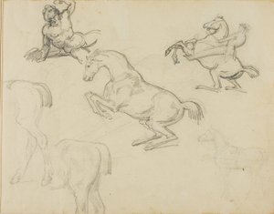 Skizzen: Liegender Akt, ein Reiter und verschiedene Pferde von Theodore Gericault