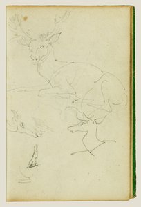 Studien eines sitzenden Hirsches, eines Rehkitzes, eines Ziegenkopfes von Theodore Gericault