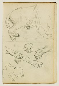 Verschiedene Studien von Löwenbein, Pfoten und Kopf von Theodore Gericault
