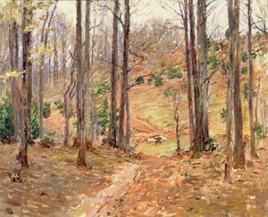 Virginia-Wälder, 1893 von Theodore Robinson