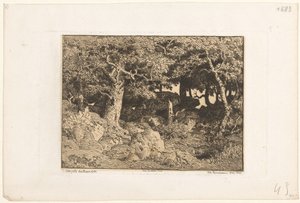 Eichen auf Felsen