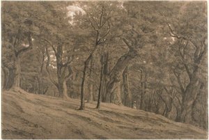 Im Wald von Fontainebleau von Theodore Rousseau