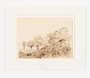 Landschaft mit Hütte unter hohen Bäumen