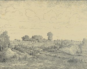 Le Plaine de La Plante à Biau
