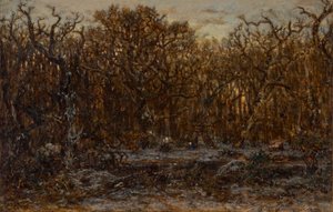 Wald bei Sonnenuntergang im Winter
