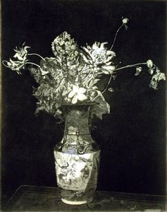 Das Leiden der Blumen