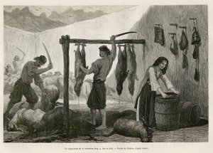 Die Zubereitung der Castradina, Spezialität aus gesalzenem und geräuchertem Schaf- und Ziegenfleisch, gegen Ende Oktober, in Dalmatien (Istrien und Herzegowina (Kroatien)), Zeichnung von Valerio, um die Reise nach Montenegro in 1874 von Charles Yriarte zu 