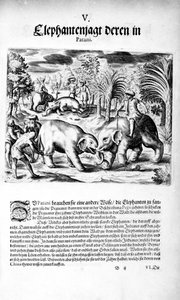 Kämpfende Elefanten, 1606
