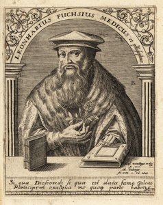 Leonhart Fuchs, deutscher Arzt und Botaniker 1501-1566 von Theodore de Bry