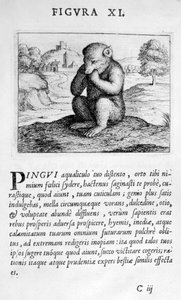 Prophezeiungsfigur XI aus Prognosticatio Eximii Doctoris Paracelsi, 1536