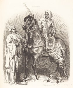 Araber steigt auf