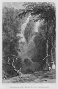 Stock-Gill Force, Westmorland (Stich) von Thomas (after) Allom